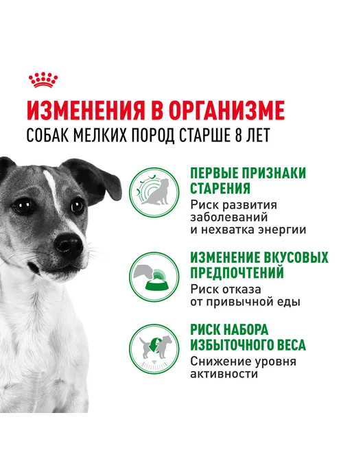 Сухой корм Royal canin для собак, взрослые, мелкие, пожилые, 4 кг, фото 3