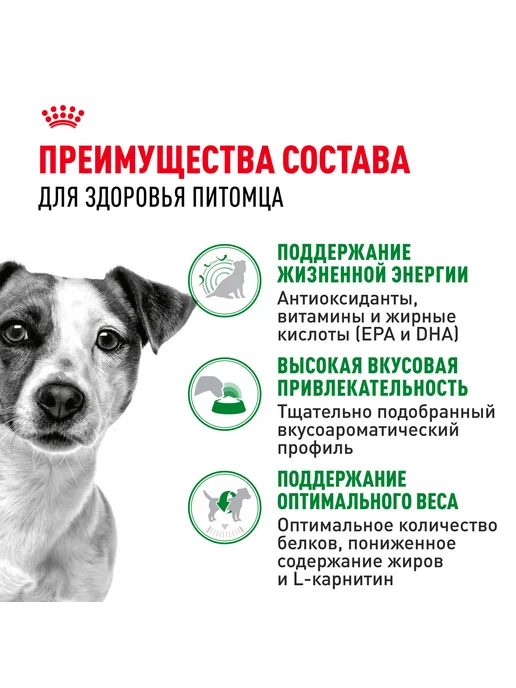 Сухой корм Royal canin для собак, взрослые, мелкие, пожилые, 4 кг, фото 4