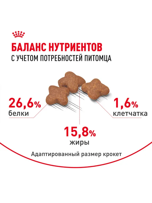 Сухой корм Royal canin для собак, взрослые, мелкие, пожилые, 4 кг, фото 5