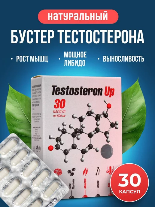 Сашера Testosteron Up. Тестостерон для спорта в капсулах