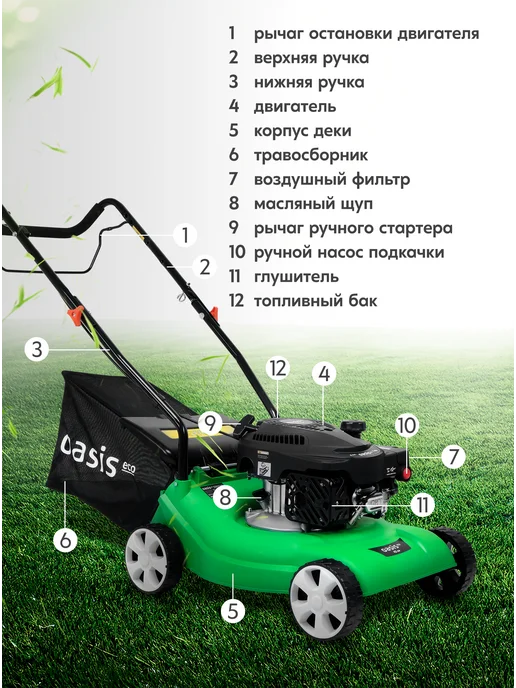 Oasis Газонокосилка бензиновая несамоходная для травы GBE-3 Eco, 800 мл, фото 2