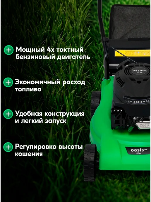 Oasis Газонокосилка бензиновая несамоходная для травы GBE-3 Eco, 800 мл, фото 3