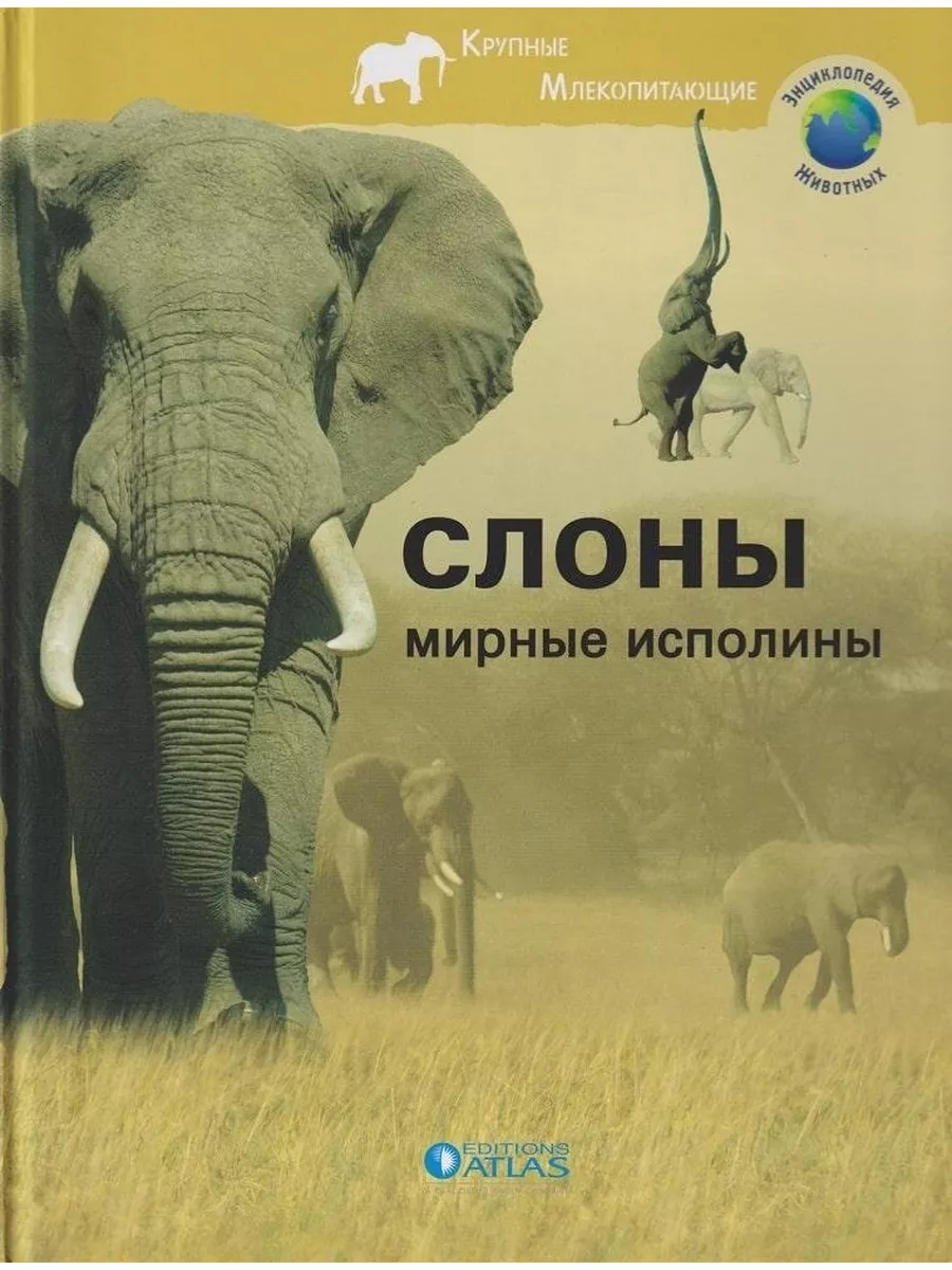 Слоны. Мирные исполины Editions Atlas купить по цене 334 ₽ в  интернет-магазине Wildberries | 218983516